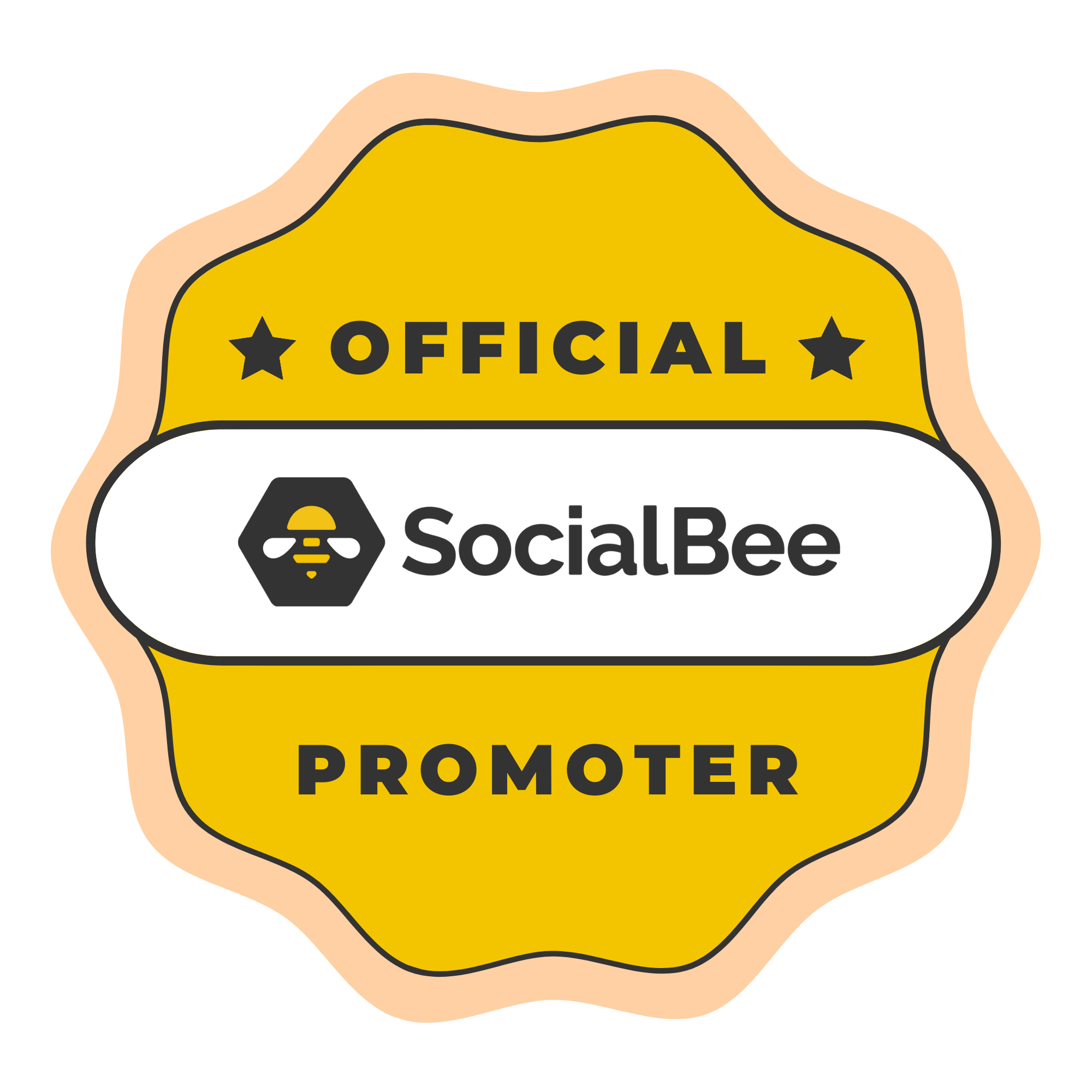 SocialBee Partner